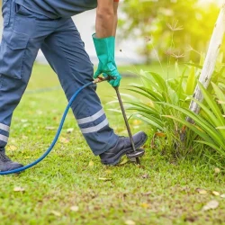Termite Removal Goshen, KY | Call (888) 584-8783