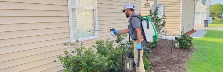 Termite Inspection Belmont, WI | Call (888) 584-8783