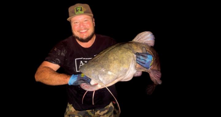 Monster Catfish Mastermind