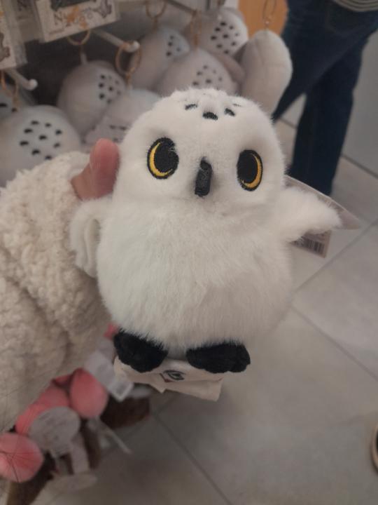 Saida Leitica Aliaga Rodrigiuez