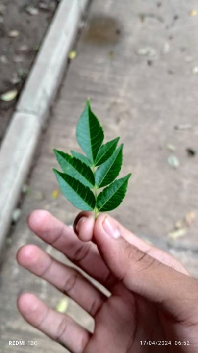 Emprendedor Caleb Josué