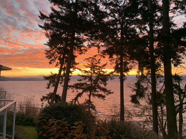 New beginnings out of old growth