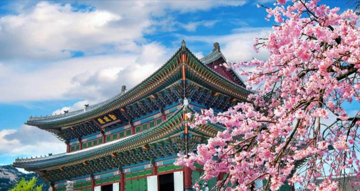 Study in Korea 🇰🇷 