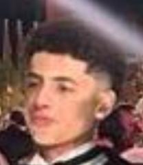 Mahmoud Abdelnaby
