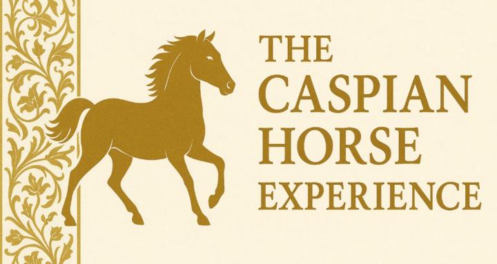 The Caspian Horse Experience