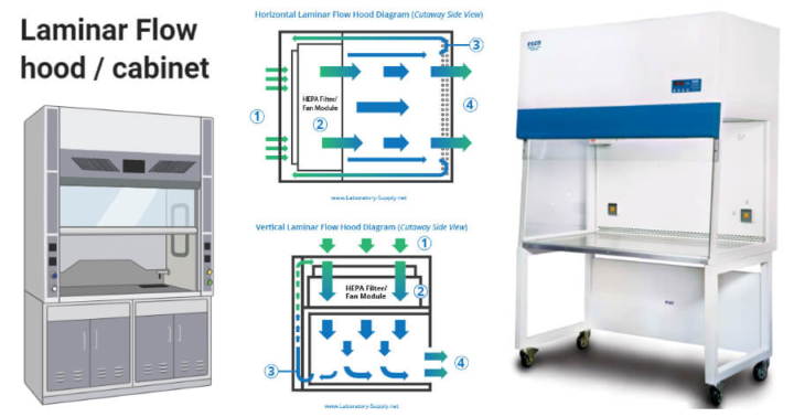 Comprehensive Educational Course Content: Cannabis Tissue Culture