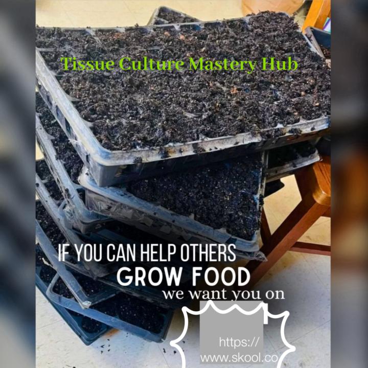 Education is key 🔑 🌱