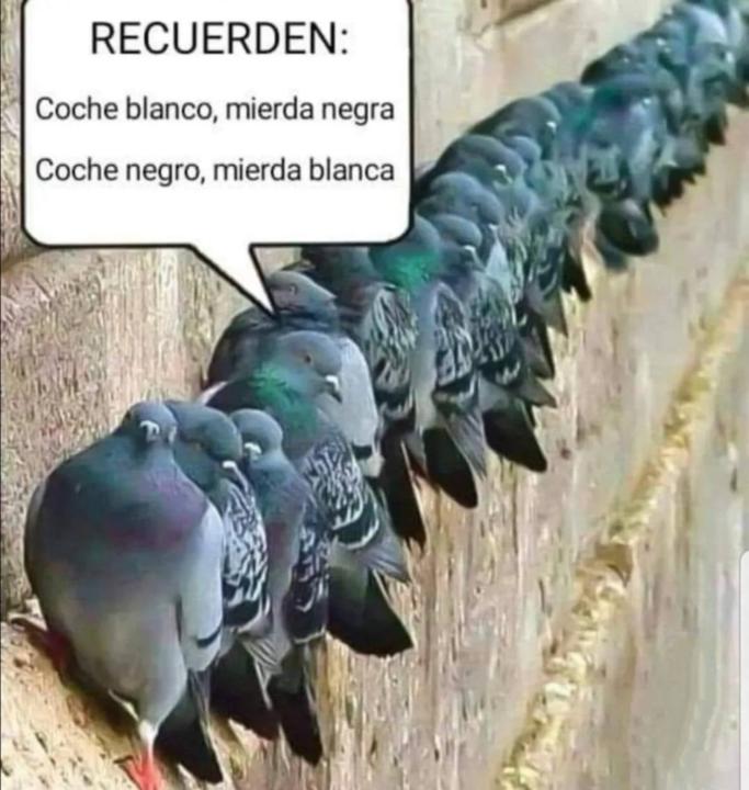 Luis Mariano Saiz Peláez