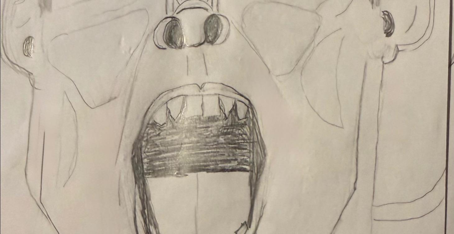 3. Anxiety Sketching: Turning Panic Into Linework.