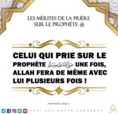 Abu Fahim