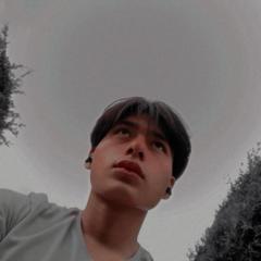 Wilber de Jesús Cruz Santiz