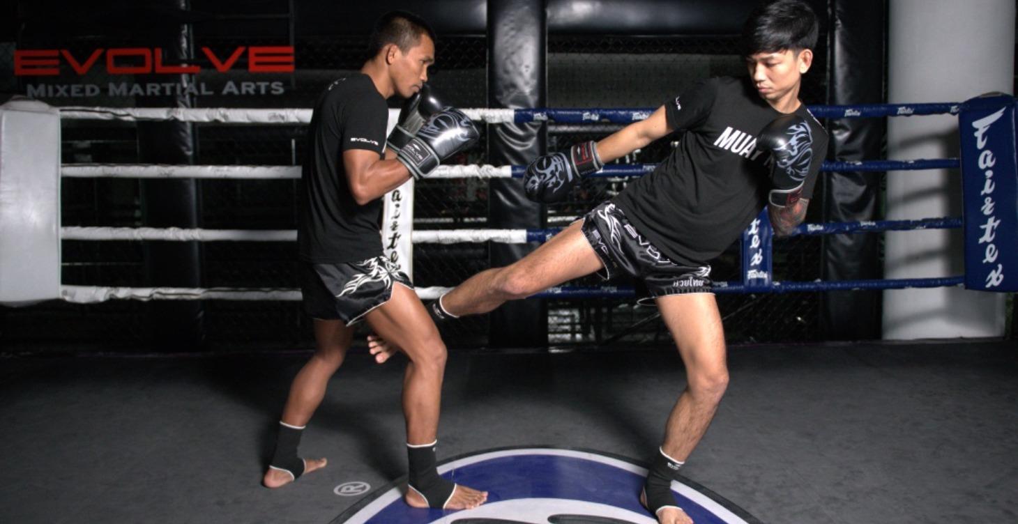 Beginner's MMA Conditioning LVL 1,12 weeks