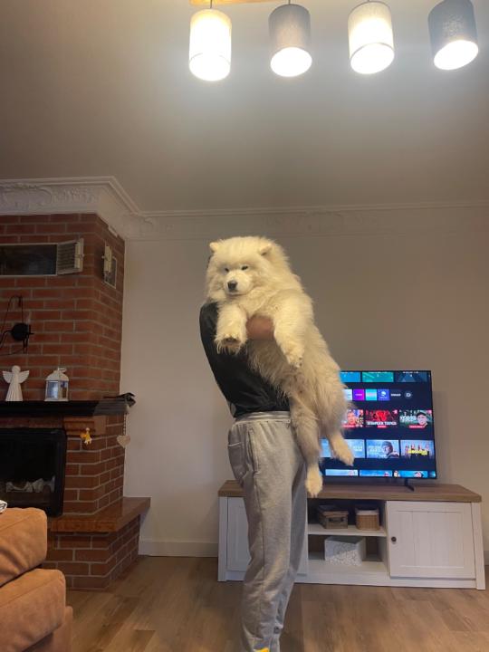 Matúš Volek