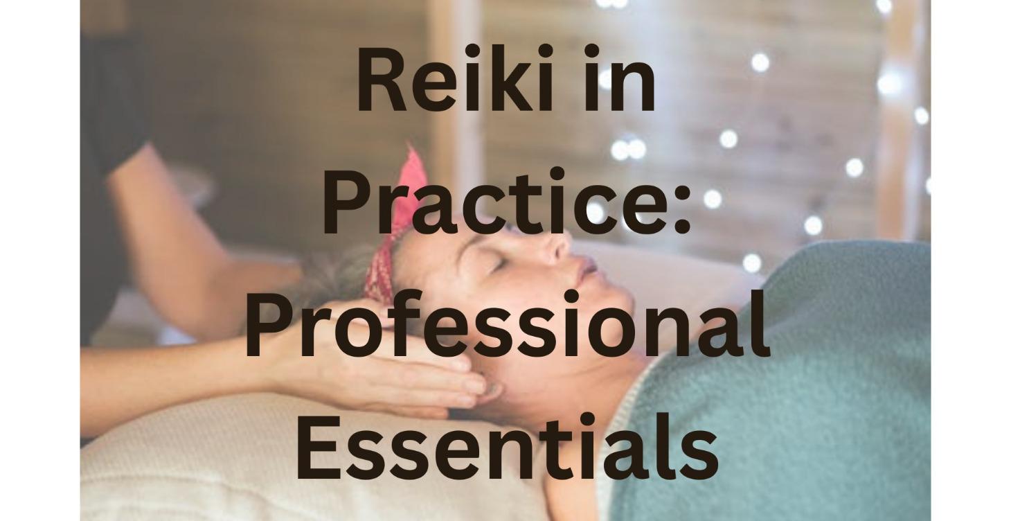 Reiki in Practice: Professional Essentials