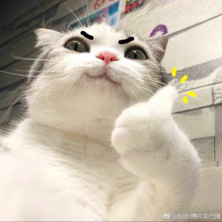 Vin Wu