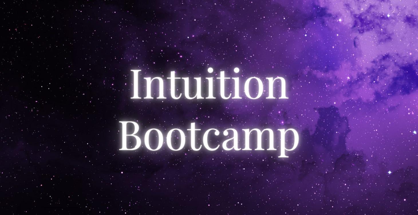 Intuition Bootcamp ⛺