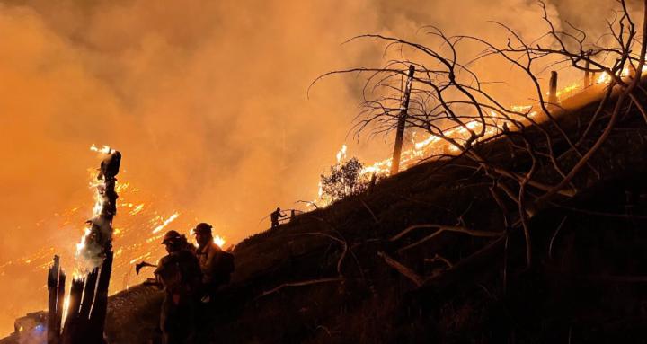 Become a Wildland Firefighter