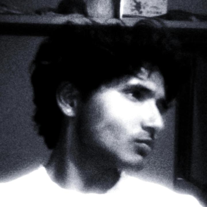 Vinay Shin
