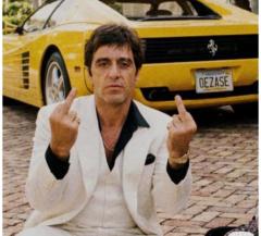 Noam Noam