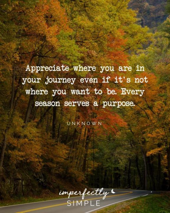 Appreciate your journey!!