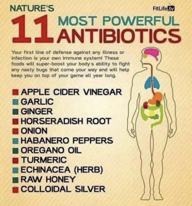 🤩 Fun Fact Friday 🤩 