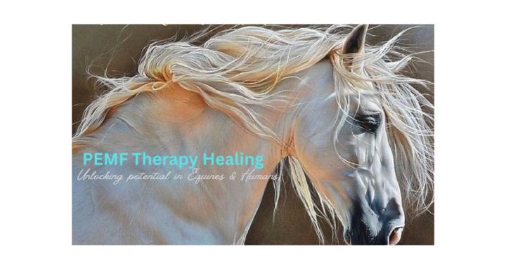 PEMF Therapy Healing