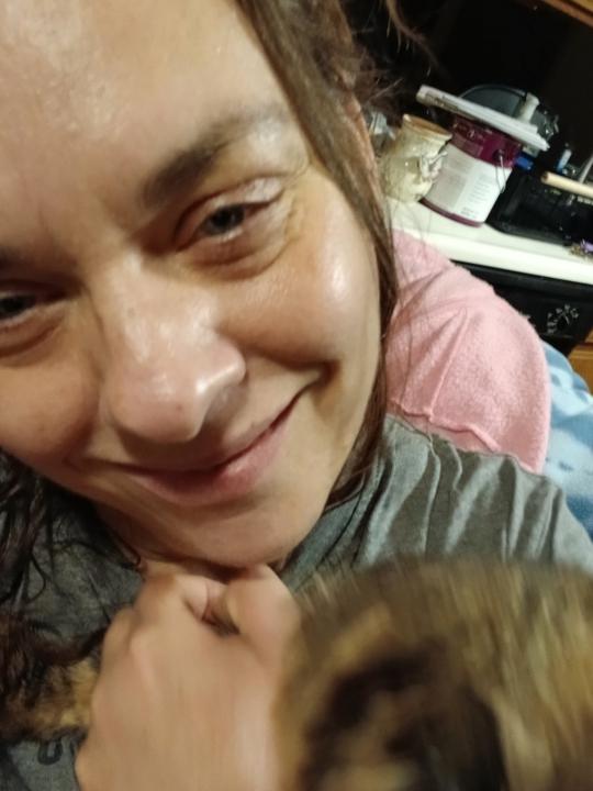 The cat came back  😹 