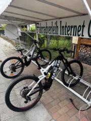 Ildikó Zólyomi-Csilits