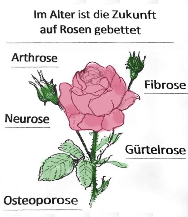 ROSENGARTEN