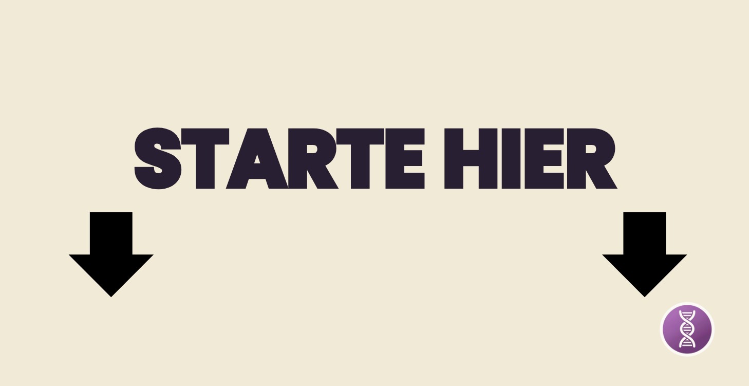 STARTE HIER