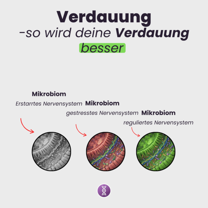 Verdauung und Resilienz verbessern