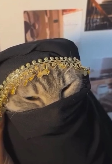 Rabita Johora