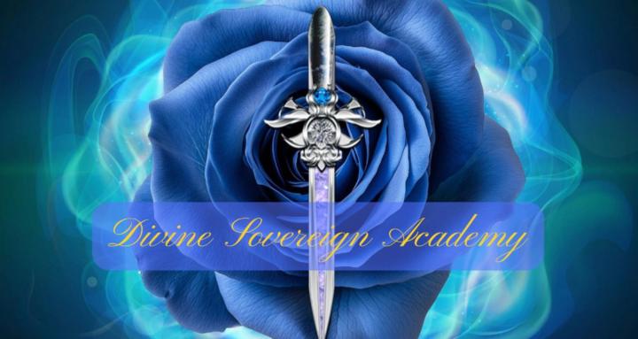 Divine Sovereign Academy