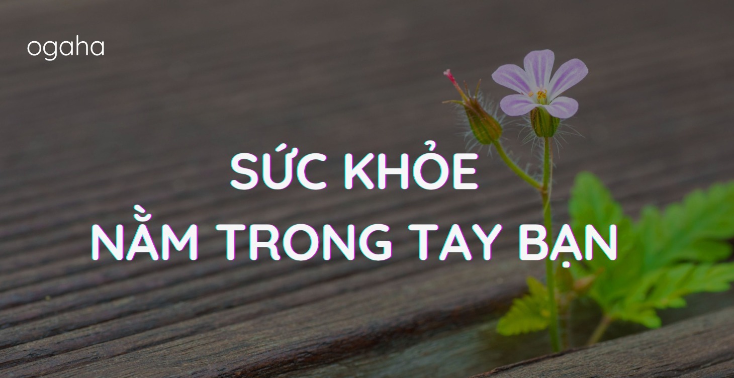 Sức Khỏe Nằm Trong Tay Bạn