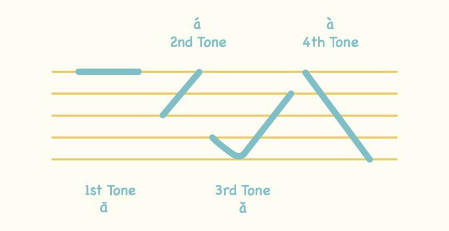 Module 1 ：Pinyin Tones 拼音的声调
