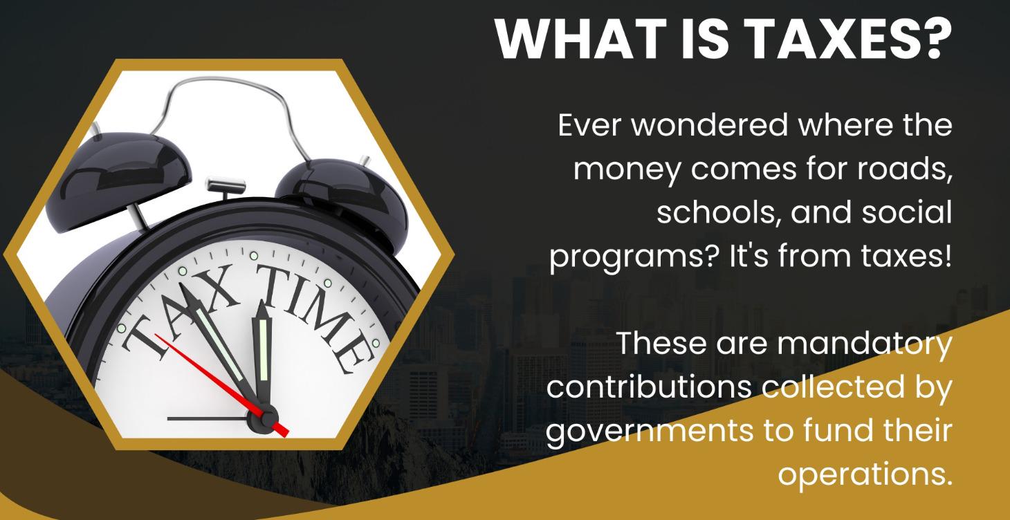 Understanding Tax Basics