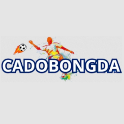 Cá Độ Bóng Đá