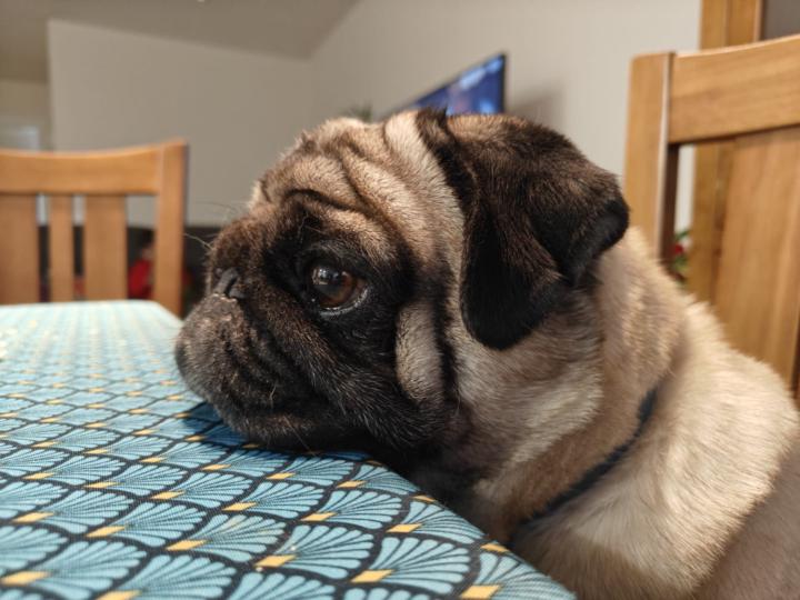 Ismael Sánchez Jabonero