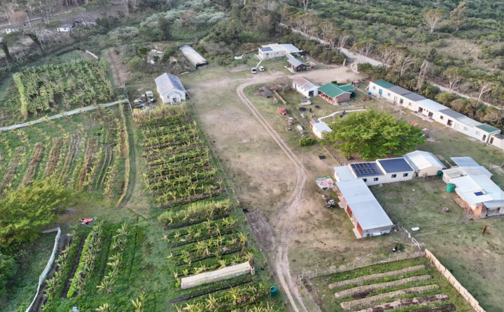 A garden that gives back