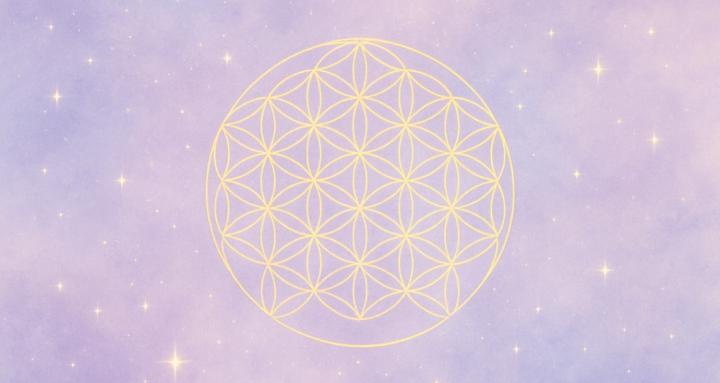 Numerología Consciente (Demo)