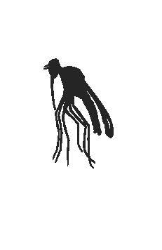 Sebastian Wiśniewski