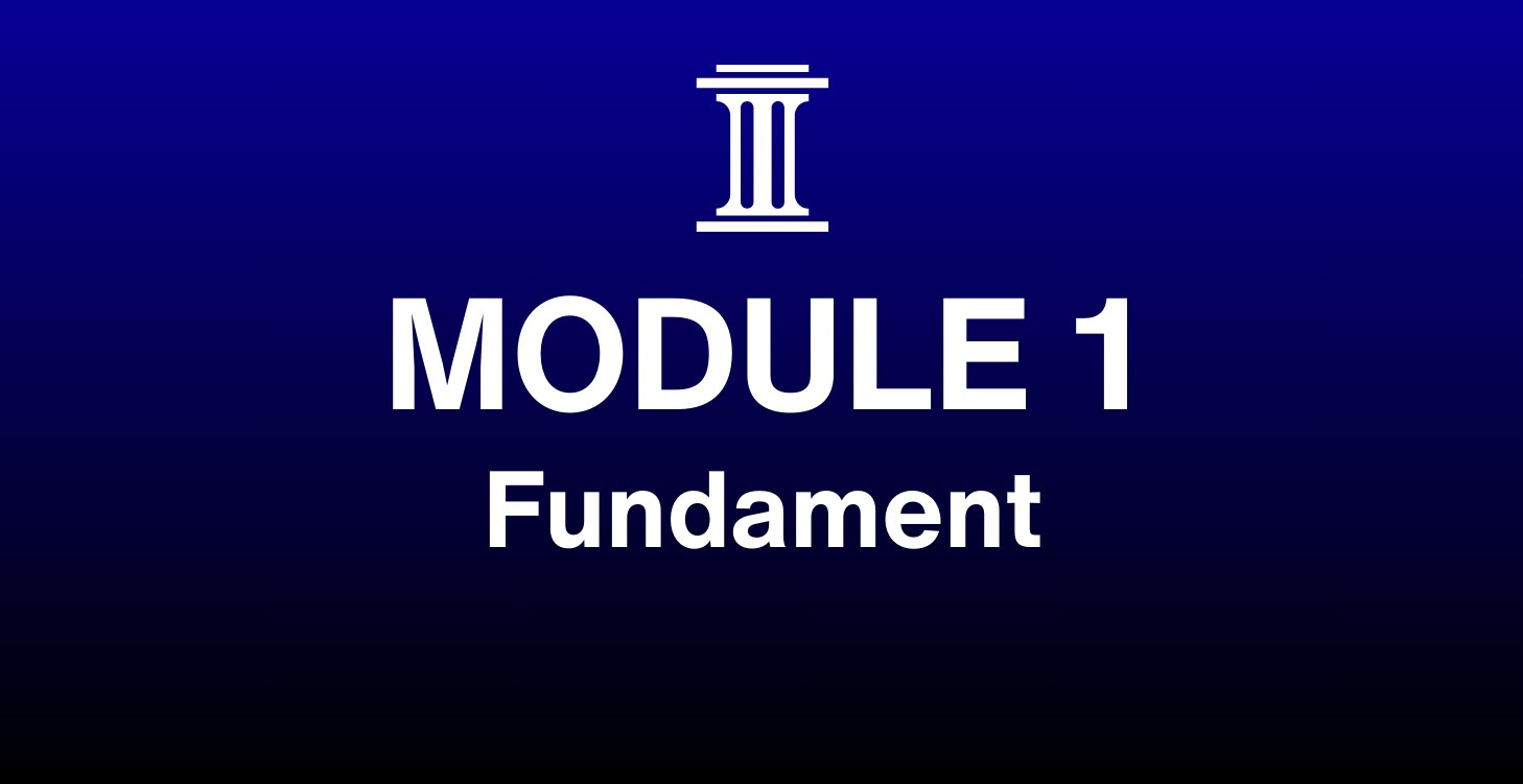 Module 1: Het Fundament