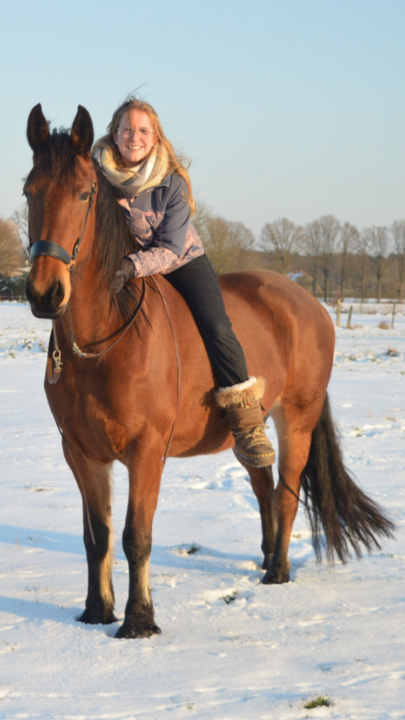 Your Horses? 