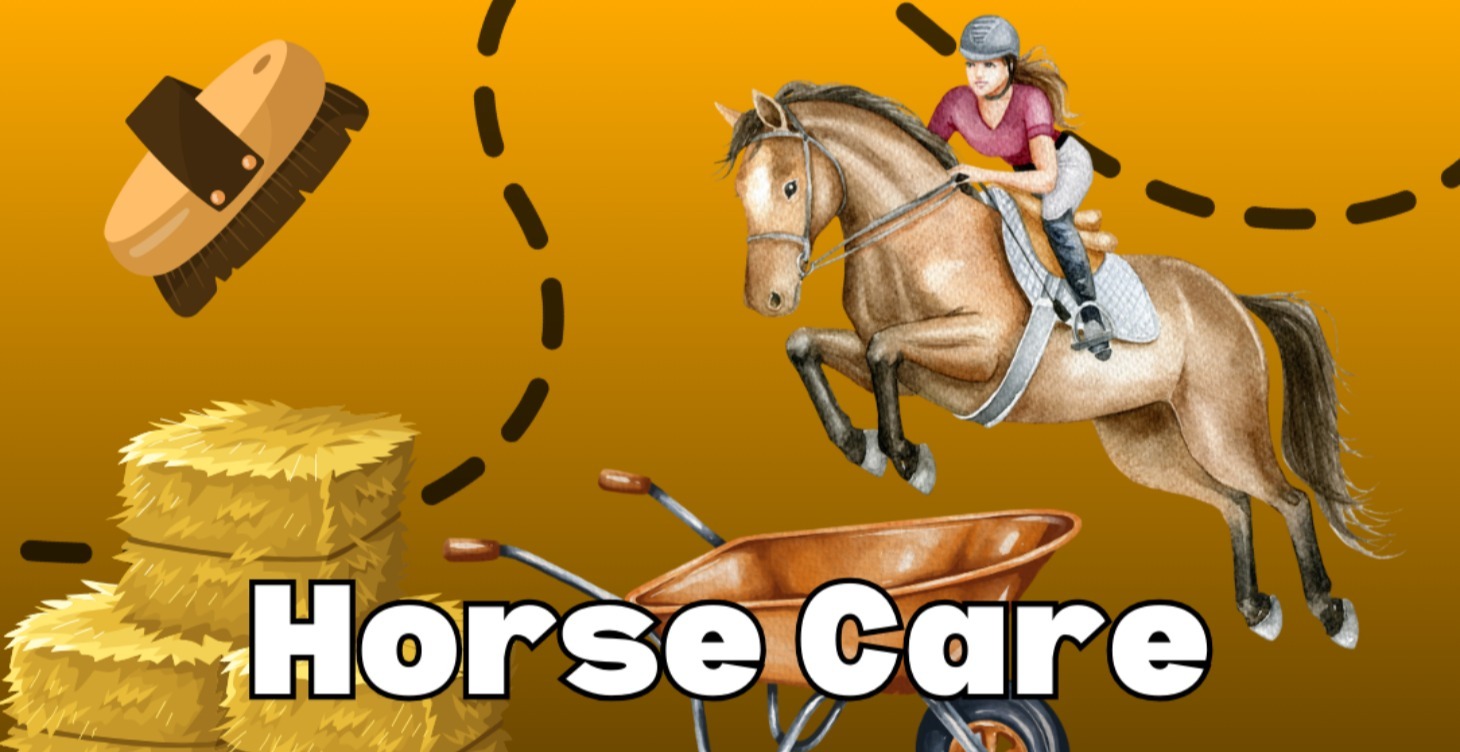 Horse care tips & tricks