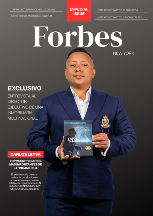 visión - Metas 2026