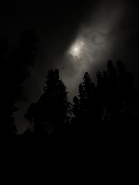 Enter the unknown