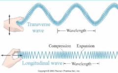 Jupiter Gibson Basnett