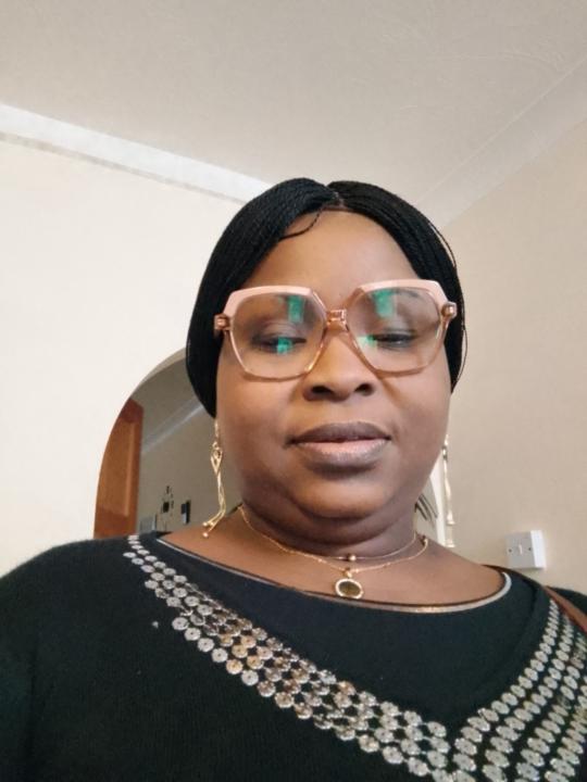 Taiwo Olusesan Olusesan