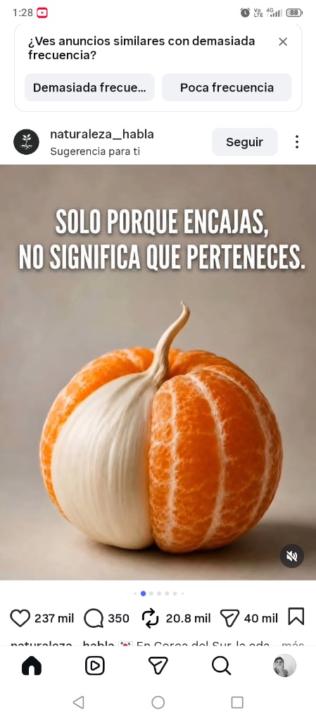 Santy Díaz Medina