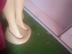 Derby Antelope